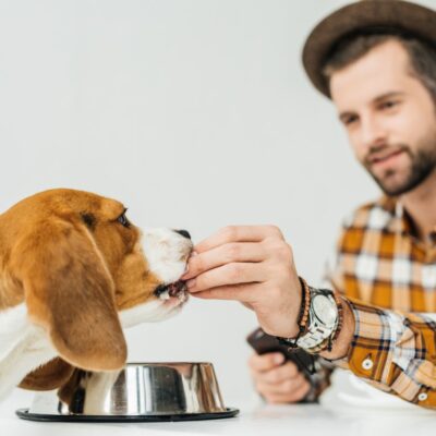 Czy wiesz jak kupić suchą karmę dla psa? Czy lepiej sprawdzi się sucha czy mokra? 5 - Twój Głos 📌 e-TG.pl