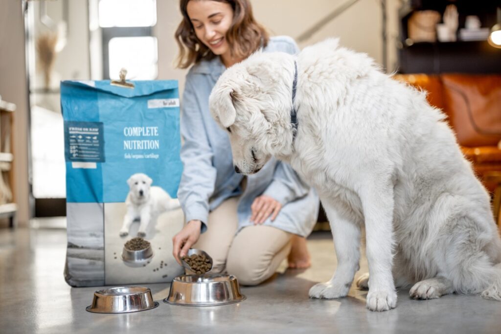 Czy wiesz jak kupiÄ‡ suchÄ… karmÄ™ dla psa? Czy lepiej sprawdzi siÄ™ sucha czy mokra? 5 - TwÃ³j GÅ‚os ðŸ“Œ e-TG.pl