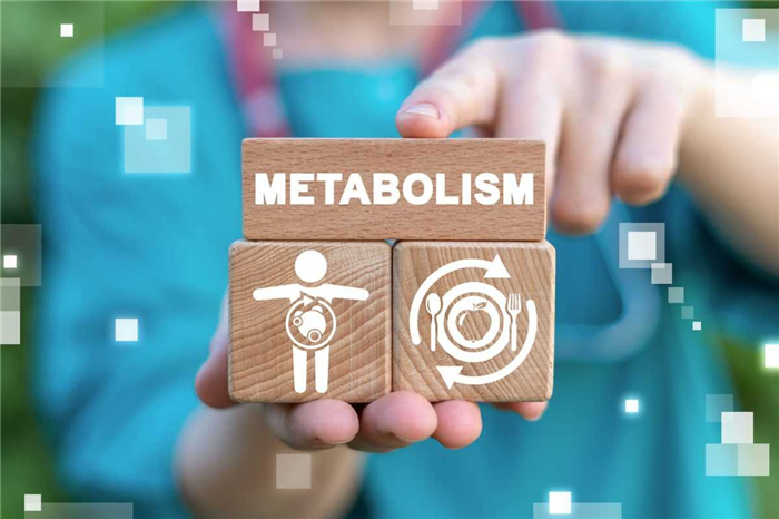 Metabolizm energii - jak obliczy膰 wiek metaboliczny i BMR? 2 - Tw贸j G艂os 馃搶 e-TG.pl